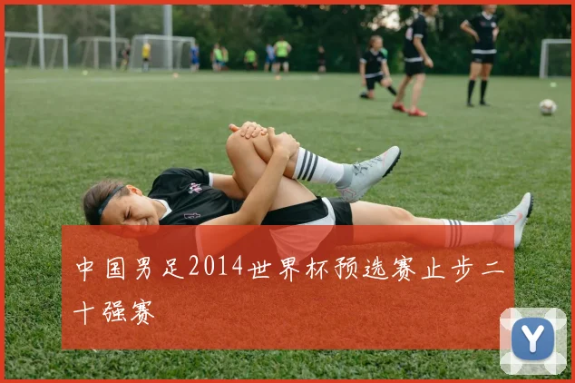 中国男足2014世界杯预选赛止步二十强赛