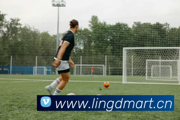 俄罗斯世界杯中国官网发展历程